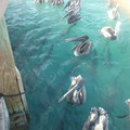 2012-03-18-180937_7071825605_o.jpg