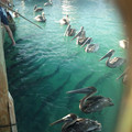 2012-03-18-180949_6925745676_o.jpg