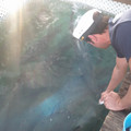 2012-03-18-181817_7071821831_o.jpg