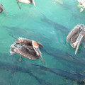 2012-03-18-181833_7071820577_o.jpg