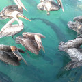 2012-03-18-181839_7071819105_o.jpg