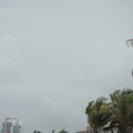 dsc00833_4615193171_o.jpg