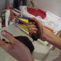 img_1318jpg_2259978173_o.jpg
