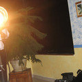 abuelas-bday-027_1428943434_o.jpg