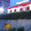 img_1139_389470881_o.jpg