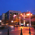 img_1156_389471511_o.jpg
