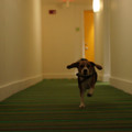 dsc01421jpg_6422641237_o.jpg