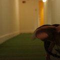 dsc01425jpg_6422646031_o.jpg