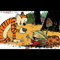 calvin-calvinhobbesb_1024x768_392403386_o.jpg