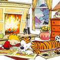 calvin-lazysunday1024x768_392403488_o.jpg