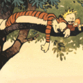 calvin-onthetree800_392403604_o.gif