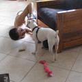 img_0283_389561250_o.jpg