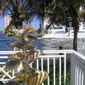 img_2156_392428410_o.jpg