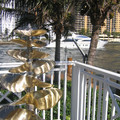 img_2157_392428427_o.jpg