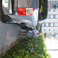 20070415_campos-002_460570784_o.jpg