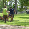 p1010063_2756199459_o.gif