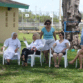 p1010066_2756199515_o.gif