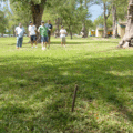 p1010089_2756200193_o.gif