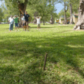 p1010090_2756200219_o.gif