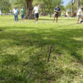 p1010091_2757033456_o.gif