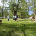 p1010092_2757033494_o.gif