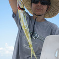 img_0685_985731289_o.jpg