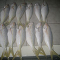 picture-001_575693741_o.jpg