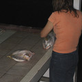 picture-005_575699173_o.jpg