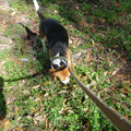 dsc00950_2970009332_o.jpg