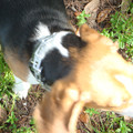 dsc00951_2970009568_o.jpg