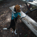 dsc00952_2969163947_o.jpg
