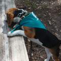 dsc00953_2970009868_o.jpg