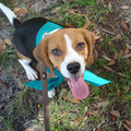 dsc00954_2969164245_o.jpg