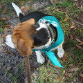 dsc00955_2970010260_o.jpg