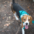 dsc00956_2969164581_o.jpg