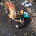 dsc00957_2969164777_o.jpg