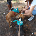 dsc00959_2969164929_o.jpg