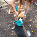 dsc00961_2969165269_o.jpg