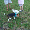 dsc00963_2970011596_o.jpg