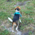 dsc00964_2970011818_o.jpg