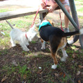 dsc00967_2969166467_o.jpg