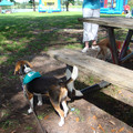 dsc00968_2970012414_o.jpg