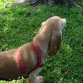 dsc00969_2970015826_o.jpg