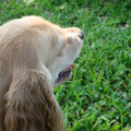dsc00970_2969170261_o.jpg