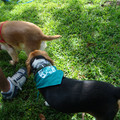 dsc00971_2969170435_o.jpg