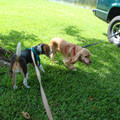 dsc00972_2970016640_o.jpg