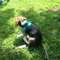 dsc00973_2970016968_o.jpg