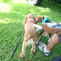 dsc00974_2969171355_o.jpg