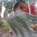 img_3739_2969168693_o.jpg