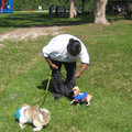 img_3856_2970024996_o.jpg